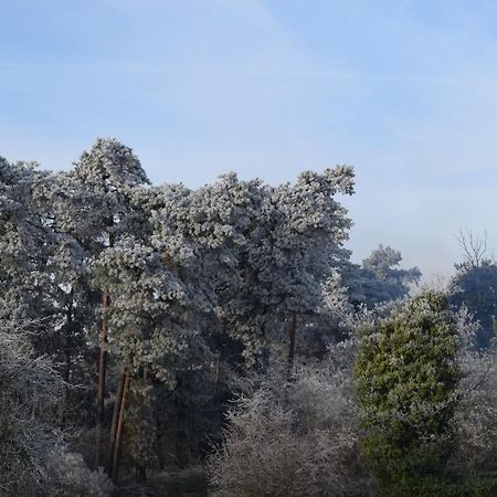 Ferienwohnung Isterberg Kültér fotó